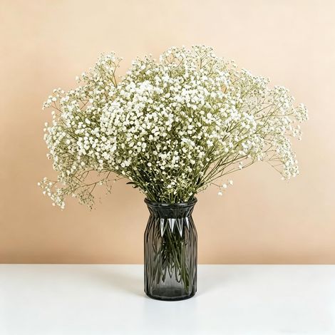 100g/pack Gypsophile séché Blanc -Fleur Naturelle Blanche séchée et préservée Decoration Mariage Fleur Sèche pour Accessoires de Cheveux Mariage Guirlande Carte Vase Cadeau (1/5)