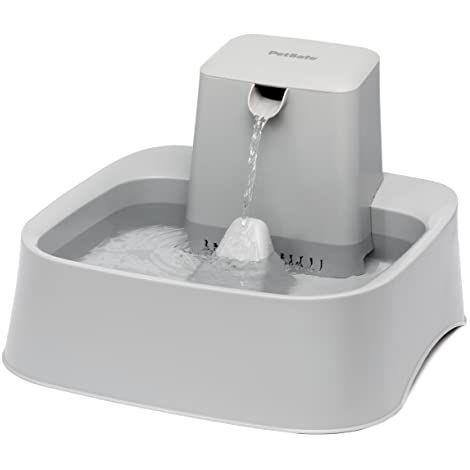 Petsafe Fontana d'acqua in plastica 7,5 litri per cani e gatti (1/4)