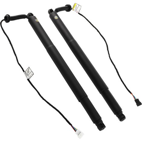 Amortiguador de Maletero for BMW X6 F16 3.0L M50d xDrive 2014-2016 51247318652 (1/5)