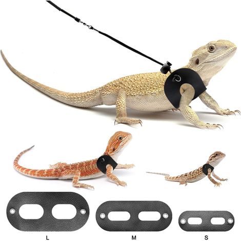 Lot de 3 laisses en cuir réglables pour lézard et reptile, tailles S M L, harnais de promenade pour animaux de compagnie, noir (1/5)