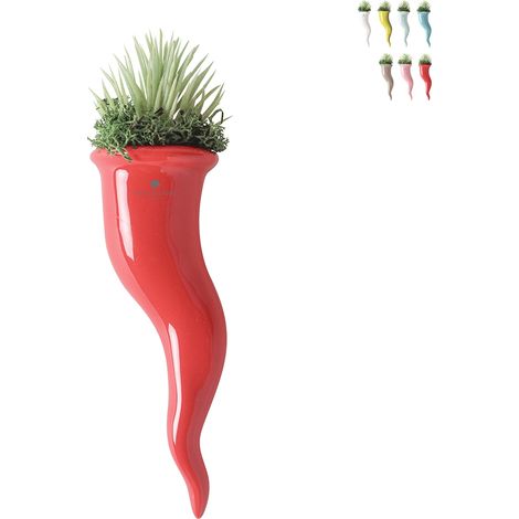 Pianta grassa succulenta in vaso cornetto di ceramica Paola Rolando Partenope - Rosso