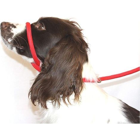 Laisse anti-traction en forme de 8 / Licol / Collier de tête (ROUGE) - Taille unique - Nylon tressé ultra doux - Instructions de réglage incluses - Confortable. K (1/4)