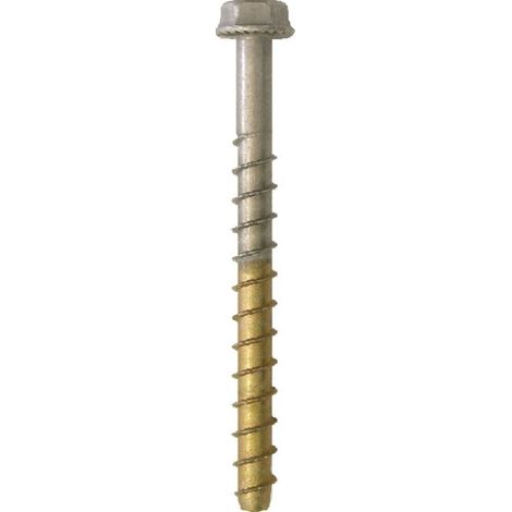 Vis Béton Bimétal Inox A4 Acier brut Tête hexagonale TH 10X100-5 pièces (1/2)