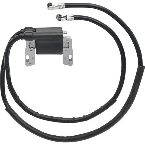 Bobine d'allumage Briggs & Stratton modèle 394891, bobine haute tension pour tondeuses
