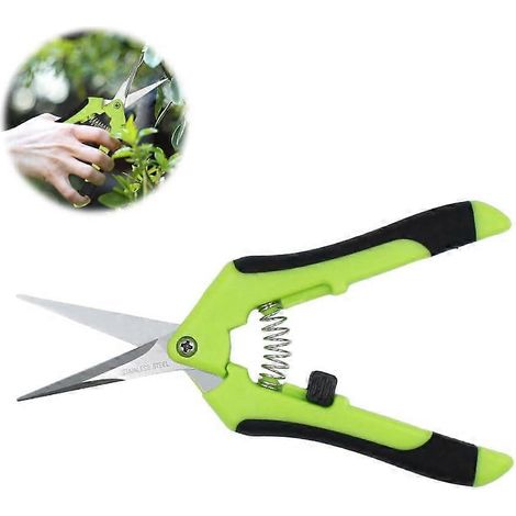 Sécateur manuel de jardinage avec lames en acier inoxydable, ciseaux pour bonsaï, vert (1/5)
