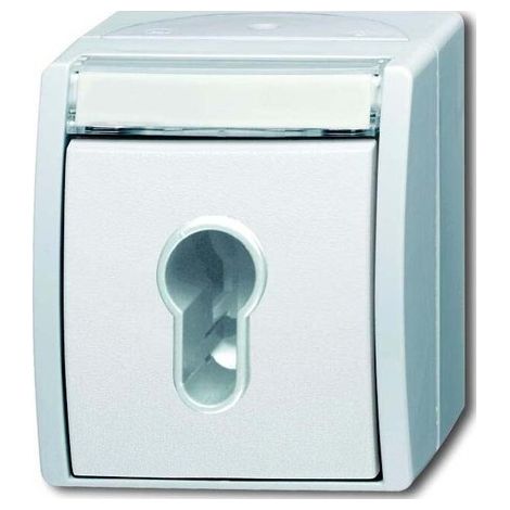 Interrupteur busch-jaeger 2733 SLW-54 250 V IP 44