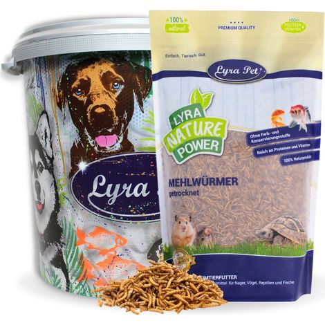 "translations":["text":"5 kg de vers de farine Lyra Pet® séchés, conditionnés dans un fût de 30 L","detectedsourcelanguage":"DE","taghandlingversion":"v1