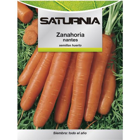 Semillas Zanahoria Nantes Temprana (7 Gramos). Semillas Verduras, Horticultura, Horticola, Semillas Huerto. (1/2)