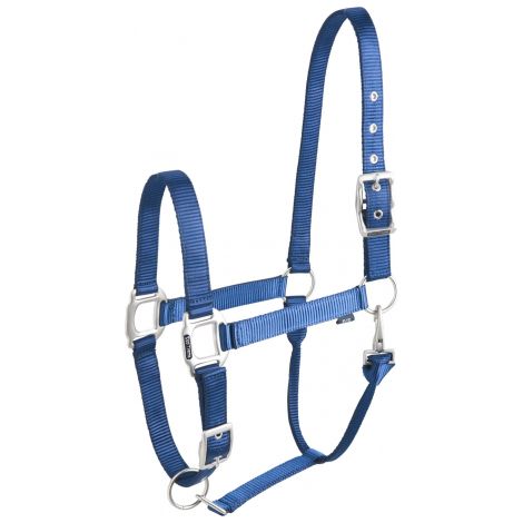 Licol 'éclat' bleu EQUITHÈME pour cheval