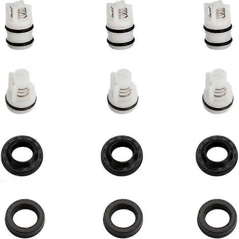 Kit de remplacement de clapets anti-retour d'huile pour nettoyeur haute pression Pompe à quatre coins (1/5)