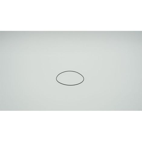BWT O-Ring für Haustechnik, 114x1,6mm, 1-181480
