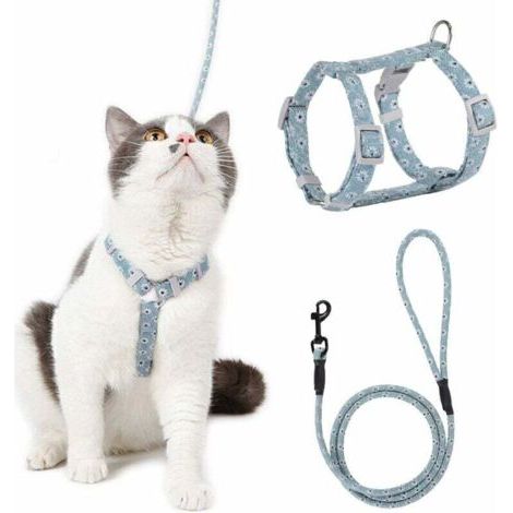 QORVA-Harnais Chat Réglable Harnais Laisse (Bleu-Vert S) pour Chat Petit Chien en Nylon avec Laisse Résistant à la Sécurité Harnais Veste pour Chiot Chaton des Petits Animaux de Compagnie-Fei Yu (1/4)