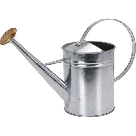 Arrosoir - Zinc - 1900 ml - Pour Jardinage Intérieur Et Extérieur - 1 Pièce