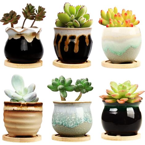 Pot de fleurs en céramique 6,3 cm avec égouttoir, pots de fleurs, petits pots de fleurs pour jardin, cactu, pot de succulent, mini pots de fleurs (1/5)