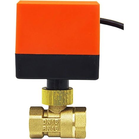 Vanne motorisée 2 voies Vanne à sphère motorisée AC220V AC24V DC12V DN15 DN20 DN25 DN32 DN40 DN50 Modèle AC220V 1/2 pouce DN15 (1/5)
