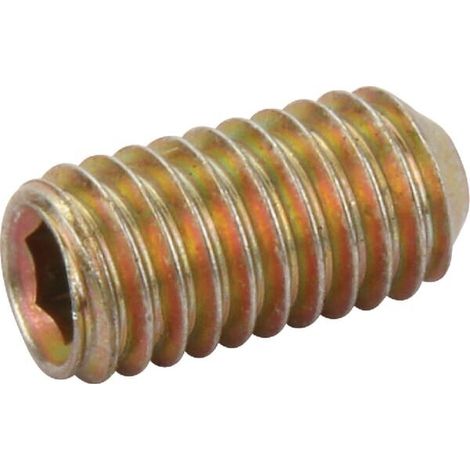 Vite senza testa 6x12 acciaio inox AMAZONE DA153