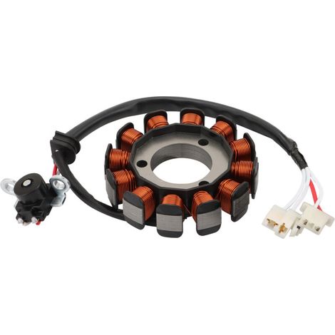 Bobine d'allumage stator compatible avec les motos à quatre roues pour enfants Yamaha Raptor 50 et Raptor 80, numéros de pièces d'origine 4EM-85560-10 et 4EM-85560-12.