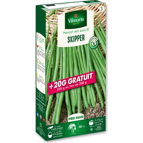 Vilmorin – Haricot nain vert Skipper – Variété rustique pour congélation – Gousses droites 12-13 cm – Résistant au froid et à l'humidité (1/3)