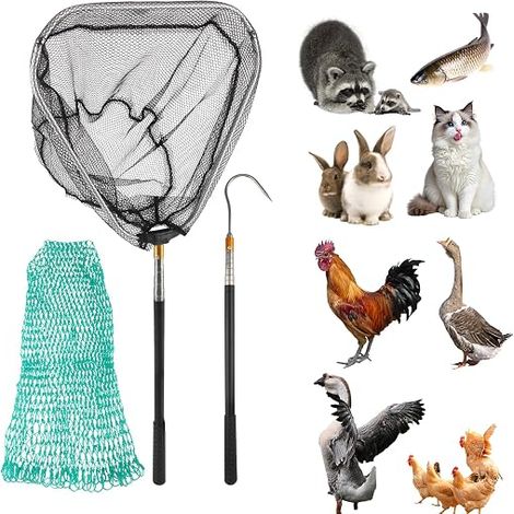 Extendable Chicken Catchers Removable Poultry Net Fishing Landing Net with Stainless Steel Hook, Catch Net, for Animals Turkeys Geese Ducks Birds Small and Fish (1/5)