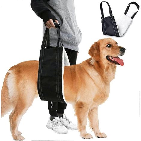 Harnais de levage pour chien (M), réglable, harnais de soutien et de rééducation pour chiens âgés et handicapés (1/5)