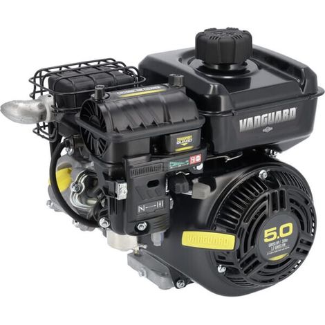 Moteur BRIGGS & STRATTON 10V3320001F1 (1/5)
