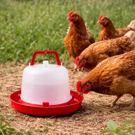 Abreuvoir plastique poule premium robuste avec poignée 5 L (1/5)