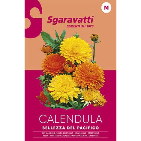 Semi per Prato Universale Calendula Bellezza del Pacifico 10 Pezzi (1/3)
