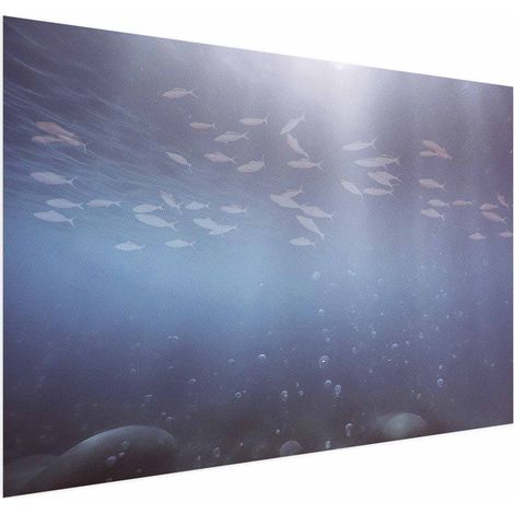 Poster – Fische in der Tiefe (1/4)