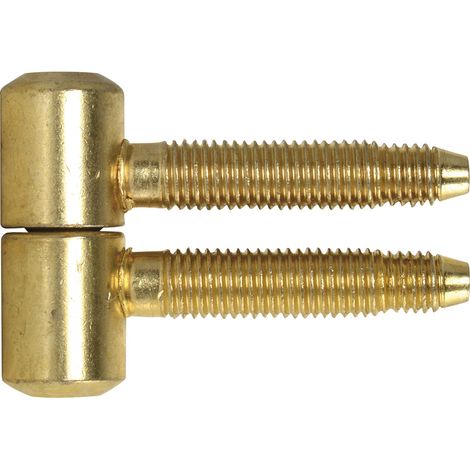 SFS Einbohrband Türband ø 14,5 mm Zylinderkopf mit 3-Stufengewinde, vermessingt