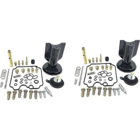 Vergaser-Reparatursatz. 2 Sets. Für Yamaha TDM850 (1991–1999) (1/5)