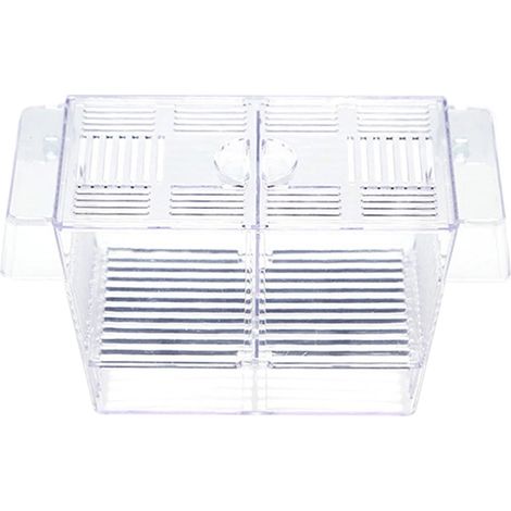 Boîte D'isolement Pour Poissons - Aquarium Transparent En Plastique - Pour Reproduction De Betta Et Guppies - Taille S (1/5)