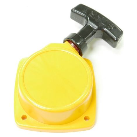 Lanceur débroussailleuse Bestgreen BG26CBTH / Alpina / CastelGarden
