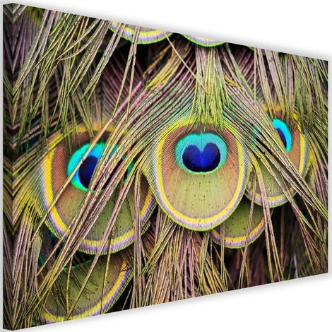 Tableau sur toile Plumes de paon multicolores 60x40 (1/5)
