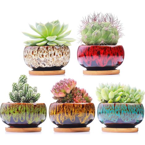 Lot de 5 Pots de Fleurs Mignons en céramique avec Trou de Drainage et Soucoupe attachée, Plantes Non incluses (Rond) (1/5)