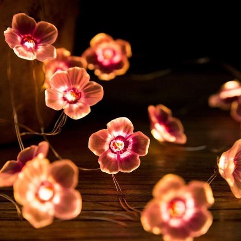 Guirlande Fleurs De Cerisier - 20 Led Rose - Fil Cuivre Souple 3,05 M - Alimentation Piles AA - Extérieur Intérieur (1/5)