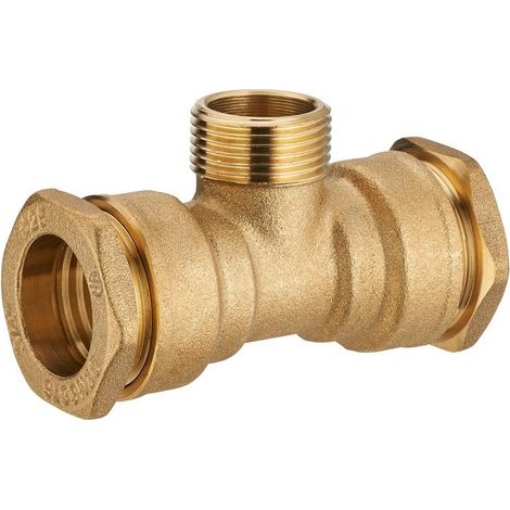 Te M 3/4 À Compression Laiton D.25 Pour Tube En Polyéthylène (1/5)