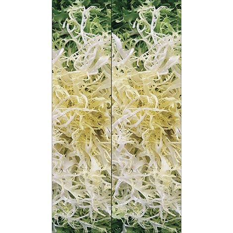 Sticker réfrigérateur et lave vaisselle, salade éclatante fraîcheur quotidienne bien-être naturel déco, 180 cm X 100 cm (1/4)