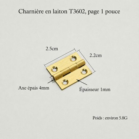 Charnière pliante H T3602 en laiton brossé mat, âme cuivre, 1 pouce t3602 1 réf 5364 2,5 × 2,2 × 0,1 cm 6 g – Livraison gratuite