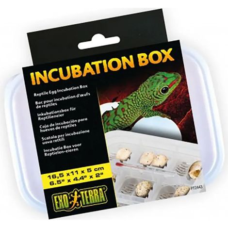 Scatola di incubazione exo terra incubation box 12 uova 16.5x11x5 cm (1/3)