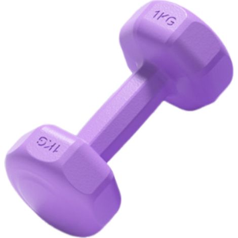 Haltères pour femmes, équipement de fitness à domicile, kettlebell pour enfants, école primaire, musculation des bras pour hommes, yoga, petit ensemble d'haltères combiné (1/5)