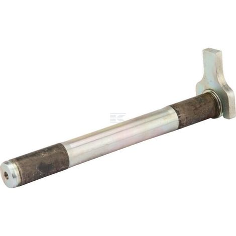 Bullone FN D25x223/239 LEMKEN 3132533 (1/2)