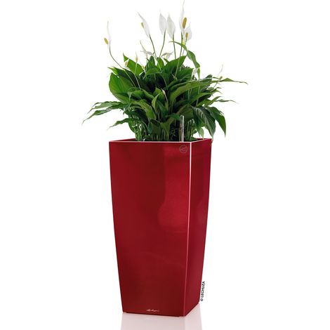 LECHUZA® Pflanzgefäße CUBICO 30 Scarlet rot hochglänzend All-in-One (1/3)