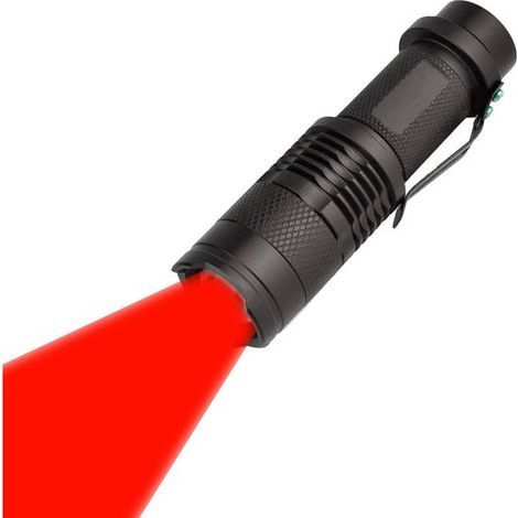 Longziming - Mini lampe torche - Petite lampe torche LED - Lumière rouge - Mise au point réglable et étanche - 1 pièce - Camping, chasse, randonnée - Noir (1/5)