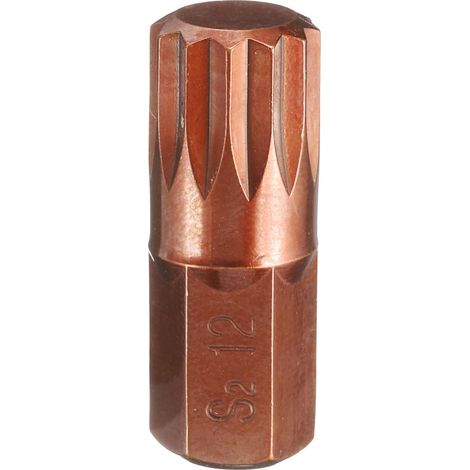 M12 Embout de Tournevis Torx 10mm Tige Hexagonale 30mm Longueur Acier S2 Embouts de Tournevis Hexagonaux à 12 Pans Inviolables de Sécurité (1/5)