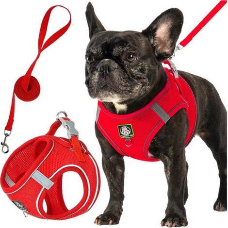 Beyamis Harnais et laisse réfléchissants en maille respirante pour chien, rouge, taille L