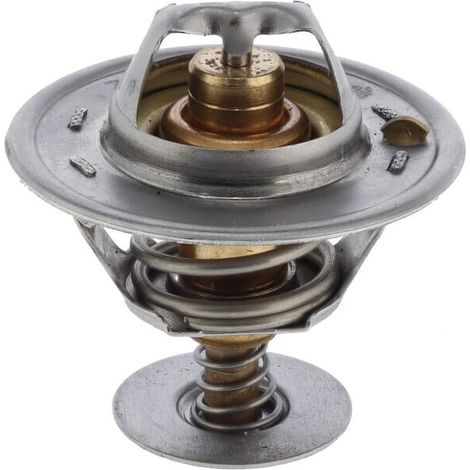 Termostato Perkins PERKINS 2485613 (1/3)