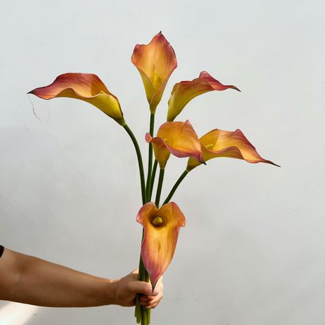 Lot de 6 lys calla artificiels pour décoration d'intérieur, de mariage, de bureau ou de maison (1/5)