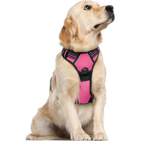 Harnais Chien Anti Traction, Arnet pour Chien avec Poignée Contrôl, Facile à Mettre, Gilet Réfléchissant Réglable avec Attache Devant, Harnais pour Chien Petit Moyen et Grand, Rose Rouge, L (1/5)