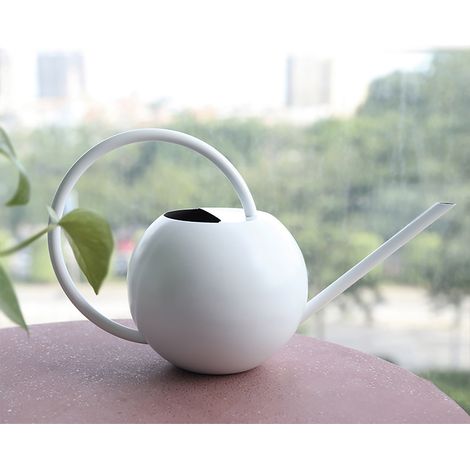 [Arrosoir] [X] [Modèle Deluxe] [Inox durable pour plantes succulentes] Arrosoir inox pour plantes précises avec bec fin et manche confortable, 1 pièce, anti-rayures (1/5)