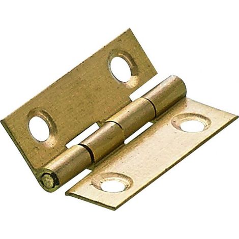 Hettich Schmales Scharnier Messing, matt, 25 x 38 mm, Lamellentürscharnier